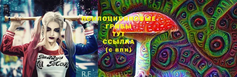 Галлюциногенные грибы Magic Shrooms  Кисловодск 